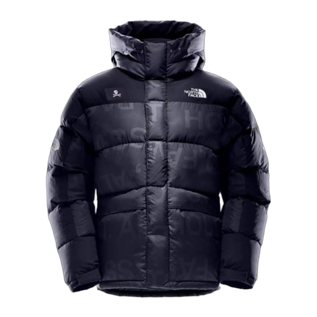 The North Face Urban Exploration Down Parka – 380-Fill | Style 5J27